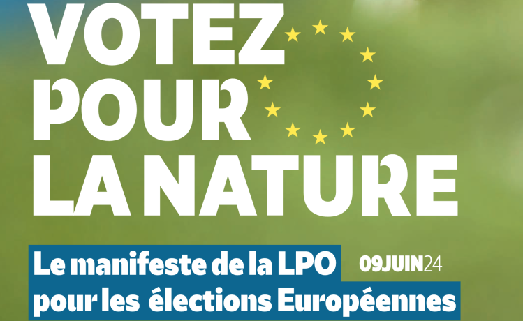 Votez pour la nature : le manifeste de la LPO pour les élections Européennes. 9 juin 2024